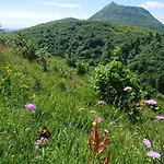 Casa vacanze Coeur De Volcan