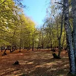 Coeur De Volcan Casa vacanze