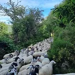 Coeur De Volcan Casa vacanze Saint-Genès-Champanelle
