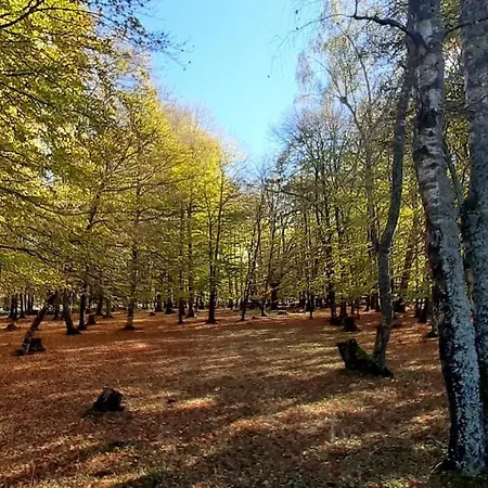 Coeur De Volcan Feriehus