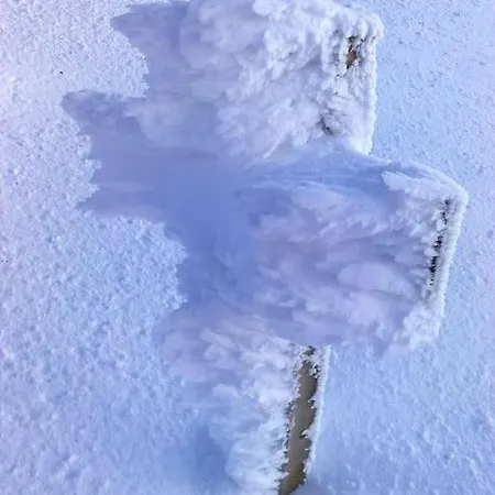 Coeur De Volcan Feriehus *