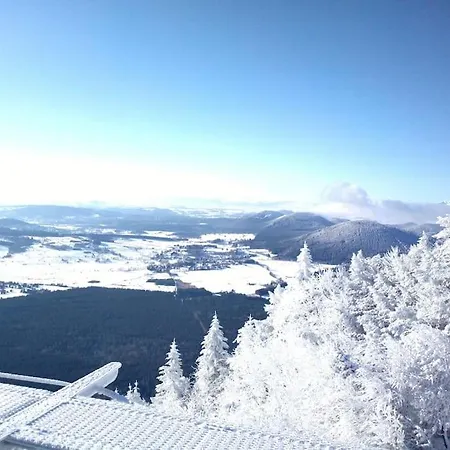 Coeur De Volcan